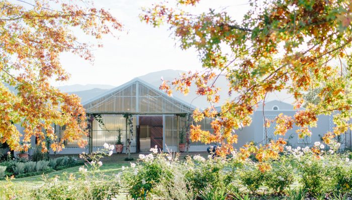 Wedding Photographer