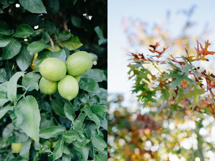 Wedding Photographer