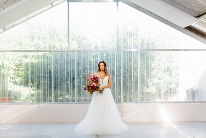 Wedding Photographer