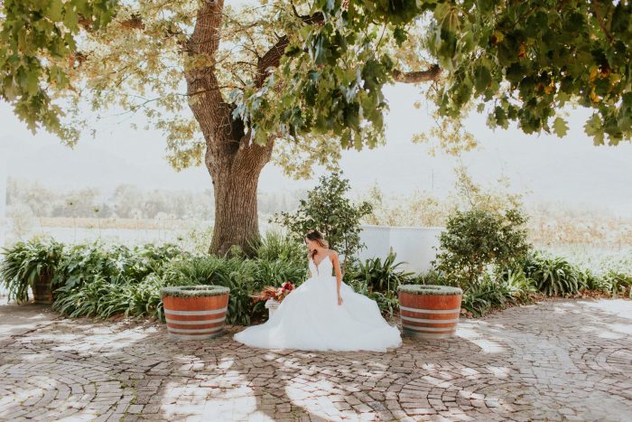 Wedding Photographer