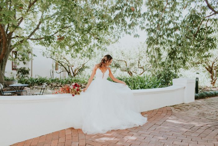 Wedding Photographer