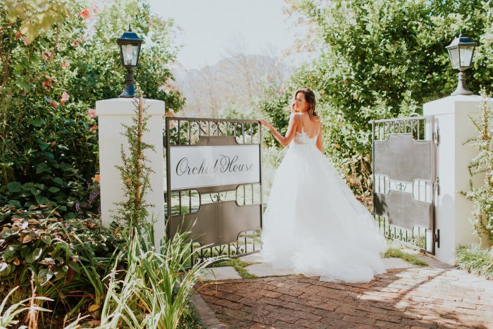 Wedding Photographer